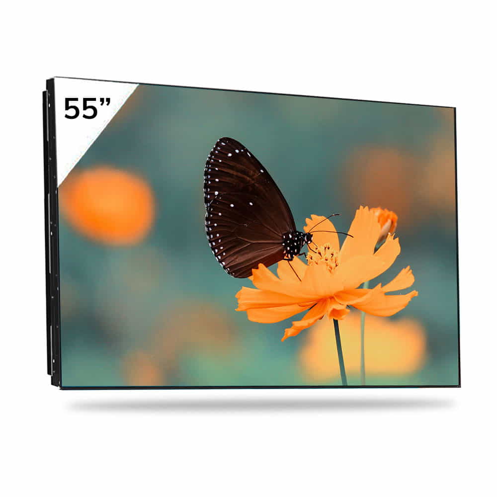 Philips 55BDL3107X/02 55 FHD