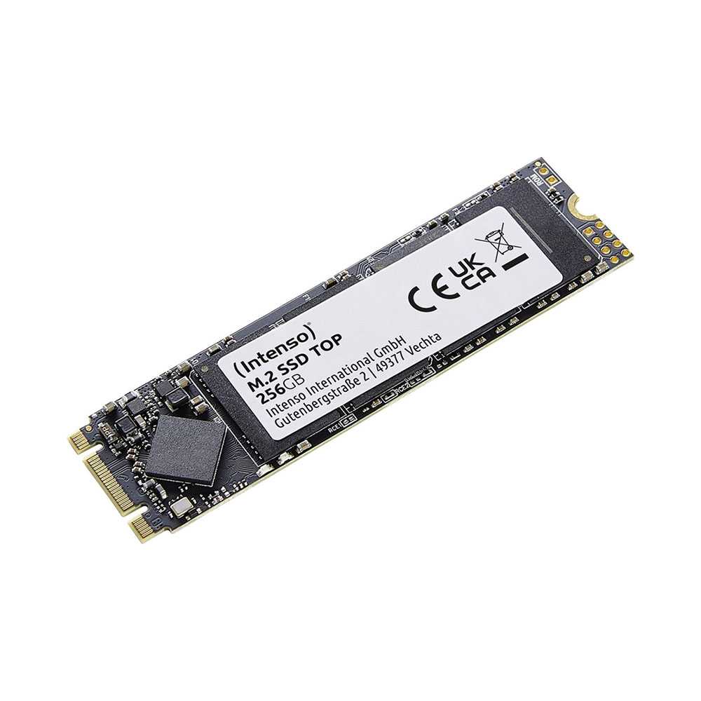 SSD 256Gb Intenso Top Performance SATAIII M.2 Type 2280