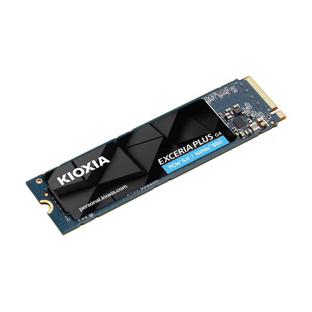 SSD 2Tb Kioxia Exceria Plus G4 NVMe M.2 Type 2280