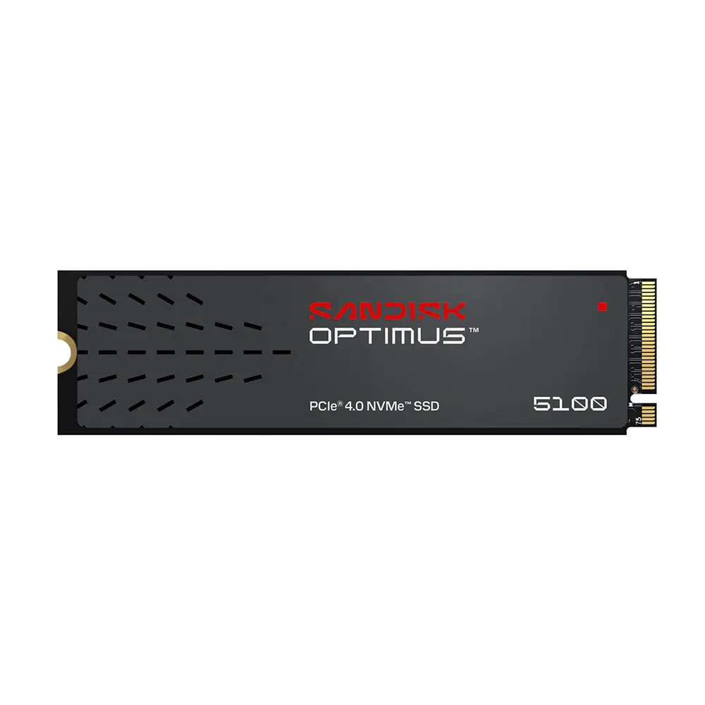 HDSDSP51200TAN-000E0-00002-6a705f9189482.webp