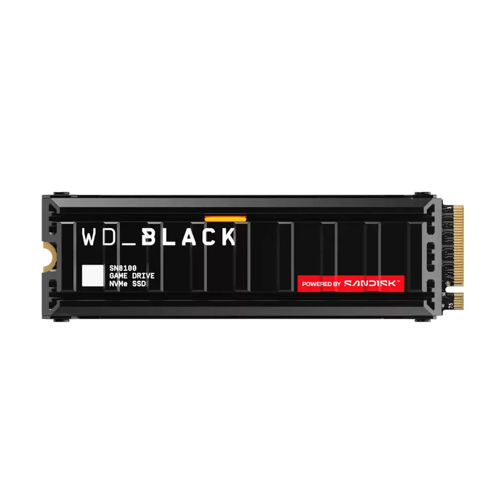 HDWDS100T1XHM-00CMT0-00002-69b2b62077b1f.webp