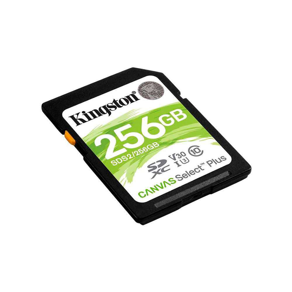 MESDS2-256GB_00002.jpeg