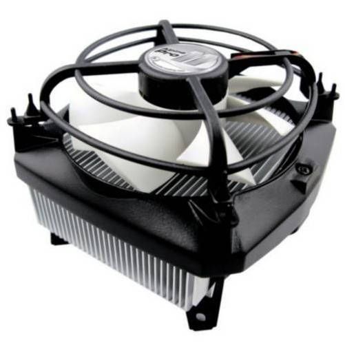 MICOACAL11PRO_00002.jpg