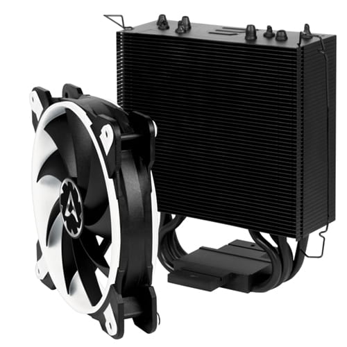 MICOACFTR-33WHITE_00003.jpg