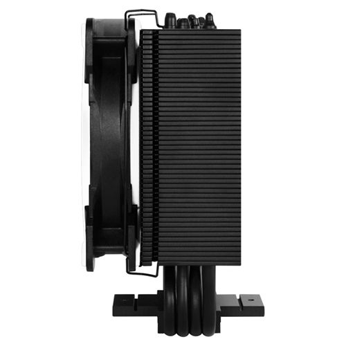 MICOACFTR-33WHITE_00006.jpg