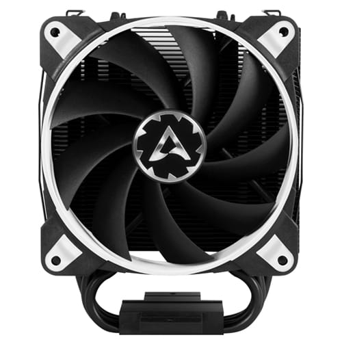 MICOACFTR-33WHITE_00007.jpg