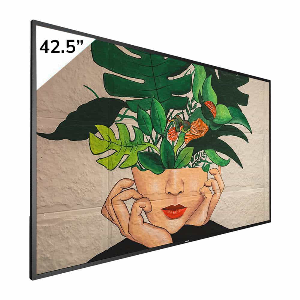 Philips D-Line 43BDL4511D 4K UHD 43