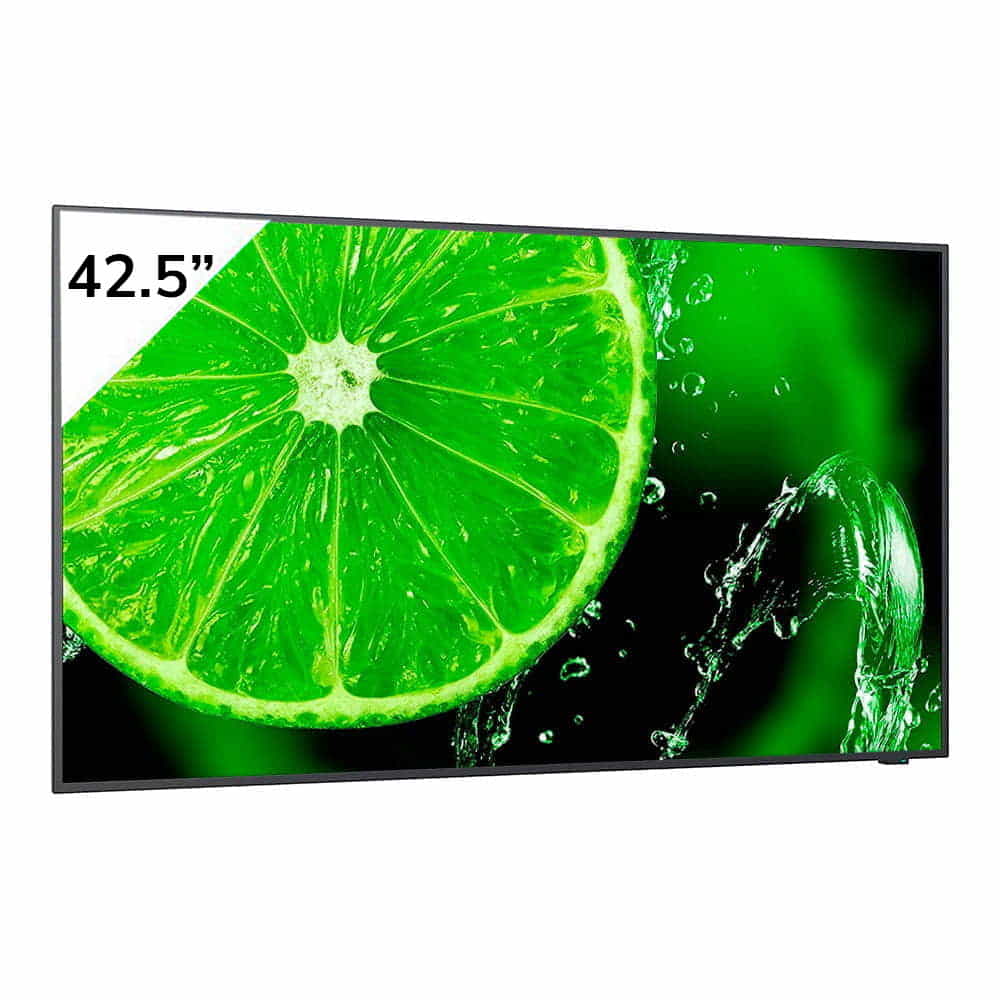 Nec Multisync E438 42.5 4K UHD