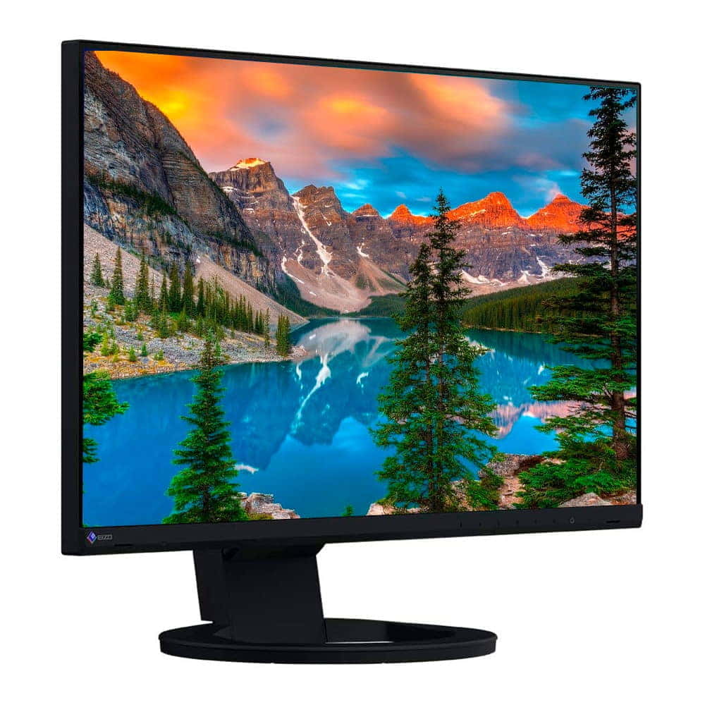 Eizo FlexScan EV2480-BK 23.8 FHD