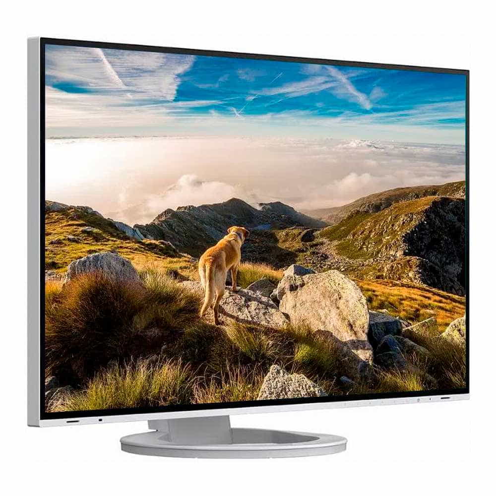 Eizo FlexScan EV2781 27 QHD Blanco