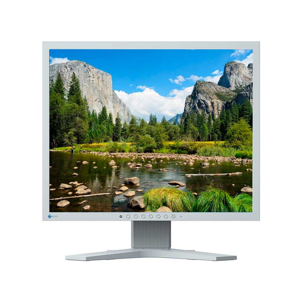 Eizo FlexScan S1934H 19 SXGA Gris