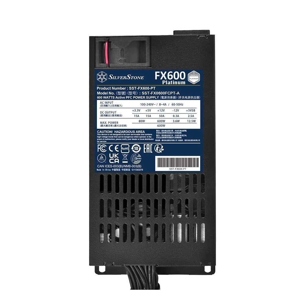 SST-FX600-PT_00010.jpeg